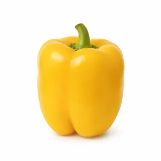 Compra ARDEI BELENUS (Ion) F1 Netratat (1.000 Semințe). en la tienda online Fito Agrícola