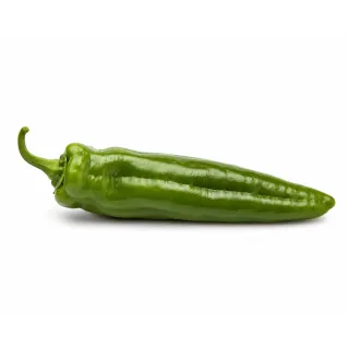 Compra ARDEI BERENGUEL F1 (1000 semințe). en la tienda online Fito Agrícola