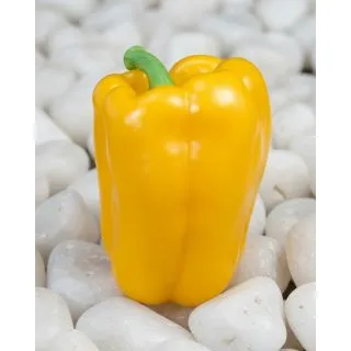 Compra PIMIENTO BIGOLD F1 (1000 Semillas). en la tienda online Fito Agrícola