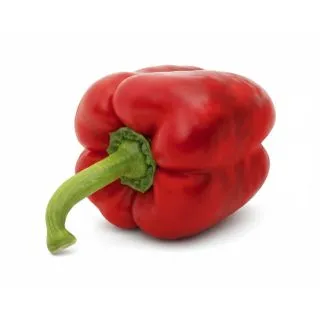 Compra ARDEI BRASERO F1 (1.000 Semințe). en la tienda online Fito Agrícola
