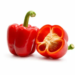 Compra ARDEI CANCERBERO F1 (1.000 semințe). en la tienda online Fito Agrícola