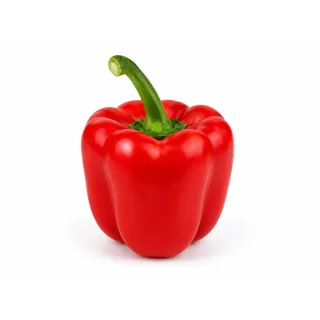 Compra ARDEI CESIUNE (Ion) F1 Netratat (1.000 Semințe). en la tienda online Fito Agrícola