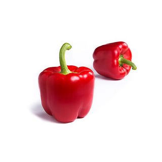 Compra PIMIENTO CLAQUE RZ F1 Precisión (1000 semillas). en la tienda online Fito Agrícola