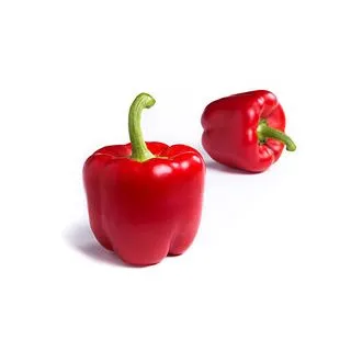 Compra ARDEI CLAQUE RZ F1 Precizie (1000 semințe). en la tienda online Fito Agrícola