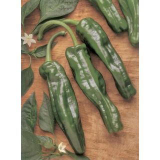 Compra PIMIENTO CRISTAL CHORICERO (Seco) (25 gr.). en la tienda online Fito Agrícola