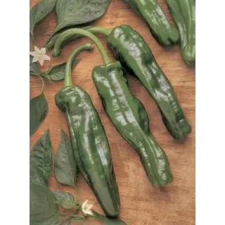 Compra ARDEI CRISTAL CHORICERO (USCAT) (25 gr.). en la tienda online Fito Agrícola
