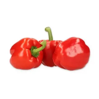 Compra ARDEI DANZON RZ F1 Precision (1.000 semințe). en la tienda online Fito Agrícola