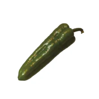 Compra ARDEI DULCE ITALIAN Sel. Batllepro (1000 semințe). en la tienda online Fito Agrícola