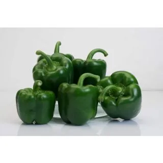 Compra ARDEI SPINOSA F-1 (1.000 SEMINTE). en la tienda online Fito Agrícola