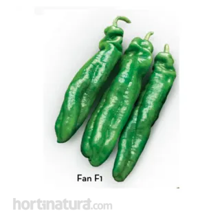 Compra ARDEI FAN F-1 (1.000 SEMINTE) en la tienda online Fito Agrícola