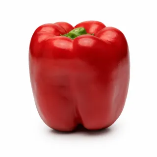 Compra ARDEI FILON F1 Netratat (1.000 Semințe). en la tienda online Fito Agrícola
