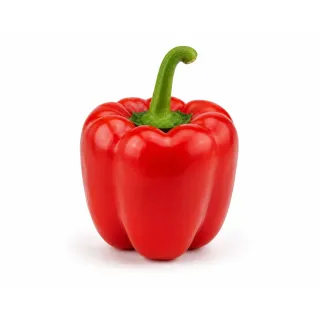 Compra ARDEI FISIÓN (Ion) F1 Netratat (1.000 Semințe). en la tienda online Fito Agrícola