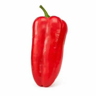 Compra ARDEI GARDEL (Ion) F1 Netratat (1.000 Semințe). en la tienda online Fito Agrícola