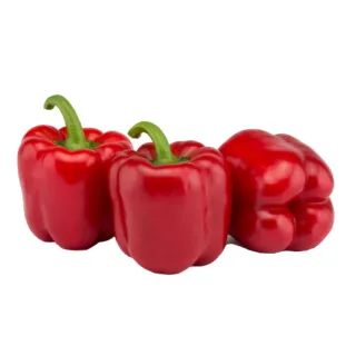 Compra ARDEI GAUDI F1 (1000 semințe) en la tienda online Fito Agrícola