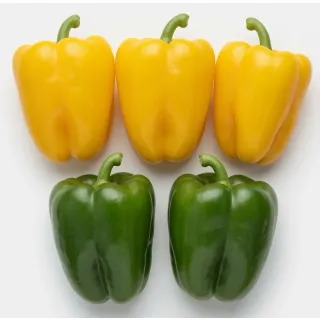 Compra ARDEI GOLLAR 201 F1 (1.000 semințe). en la tienda online Fito Agrícola