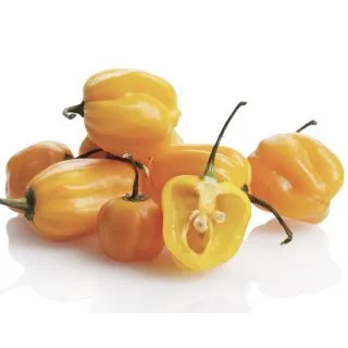 Compra ARDEI HABANERO GIALLO F1 (500 semințe) en la tienda online Fito Agrícola