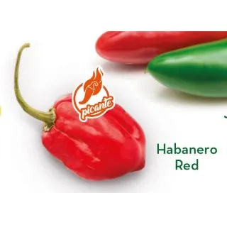 Compra ARDEI HABANERO ROȘU (1.000 Semințe). en la tienda online Fito Agrícola