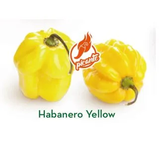 Compra ARDEI HABANERO GALBEN (1.000 Semințe). en la tienda online Fito Agrícola