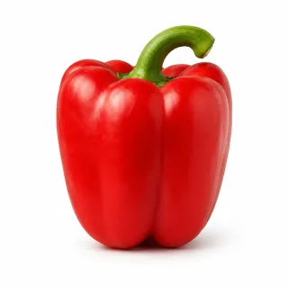 Compra ARDEI INGENYO F1 (1000 semințe). en la tienda online Fito Agrícola