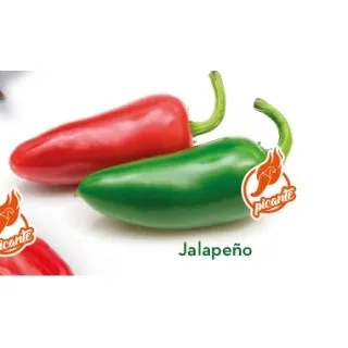 Compra ARDEI JALAPEÑO (1.000 Semințe). en la tienda online Fito Agrícola