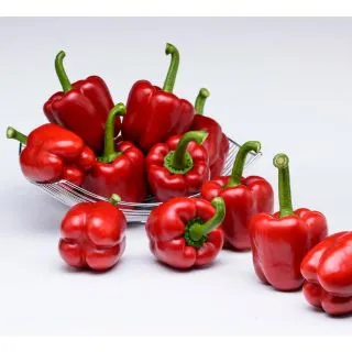 Compra ARDEI JUMA F1 (1.000 semințe). en la tienda online Fito Agrícola