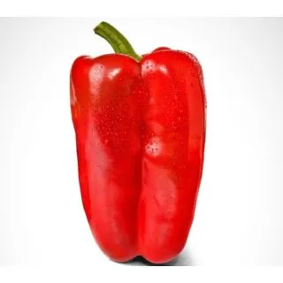 Compra ARDEI LOBON F1 (1000 semințe) en la tienda online Fito Agrícola