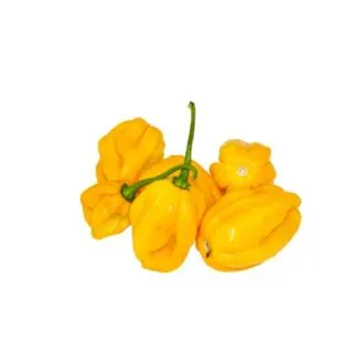 Compra ARDEI MEIKA F1 (1.000 semințe) en la tienda online Fito Agrícola