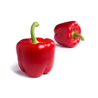 Compra ARDEI MOSH RZ F1 Precision (1.000 semințe). en la tienda online Fito Agrícola