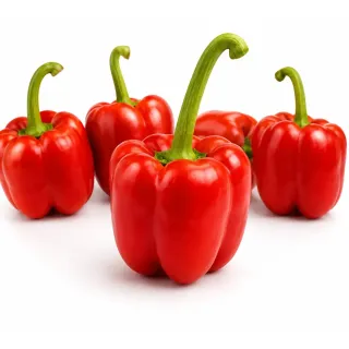 Compra ARDEI NAZGUL F1 (1.000 Semințe). en la tienda online Fito Agrícola