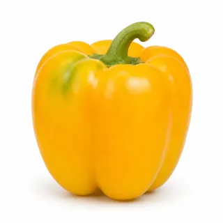 Compra ARDEI NEBLINA (Ion) F1 Netratat (1.000 Semințe). en la tienda online Fito Agrícola