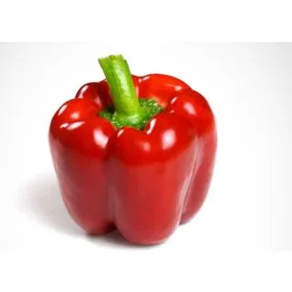 Compra PIMIENTO NELTO F-1 (1.000 Semillas) en la tienda online Fito Agrícola