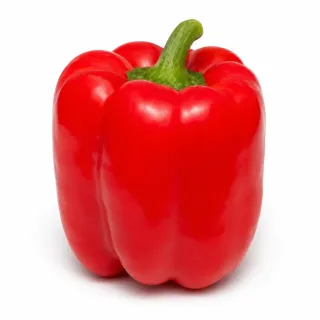 Compra ARDEI NESMET (Ion) F1 Netratat (1.000 Semințe). en la tienda online Fito Agrícola