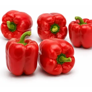 Compra ARDEI NUMENOR F1 (1.000 semințe). en la tienda online Fito Agrícola
