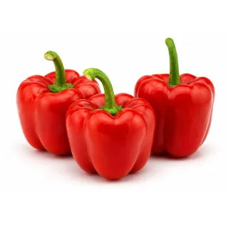 Compra ARDEI NYOSTAR F1 (1000 semințe). en la tienda online Fito Agrícola