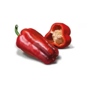 Compra PIMIENTO RIO CUATRO F-1 (1000 Semillas). en la tienda online Fito Agrícola
