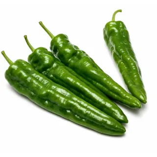 Compra ARDEI RODRI F1 (1.000 Semințe). en la tienda online Fito Agrícola