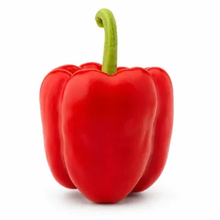Compra ARDEI SERKET (Ion) F1 Netratat (1.000 Semințe). en la tienda online Fito Agrícola