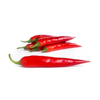 Compra ARDEI SHISHALDIN RZ F1 PRECISION (1000 seminte). en la tienda online Fito Agrícola