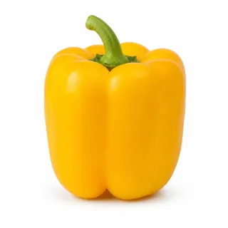 Compra ARDEI SULIS (Ion) F1 Netratat (1.000 Semințe). en la tienda online Fito Agrícola