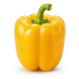 Compra ARDEI TARANIS (Ion) F1 Netratat (1.000 semințe). en la tienda online Fito Agrícola