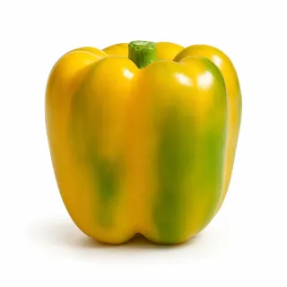 Compra ARDEI TROMBA (Ion) F1 Netratat (1.000 Semințe). en la tienda online Fito Agrícola