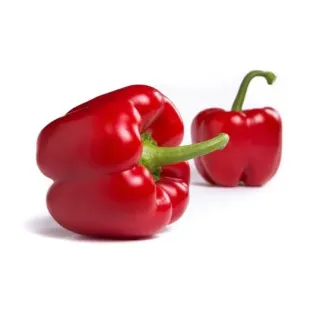 Compra ARDEI TROVADOR RZ F1 Precision (1.000 semințe). en la tienda online Fito Agrícola