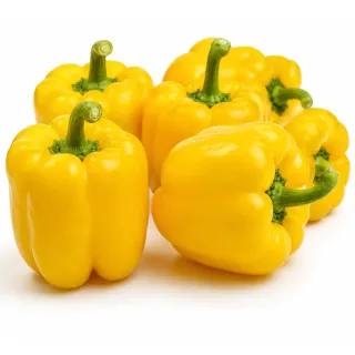 Compra ARDEI TURING F1 (1.000 SEMINȚE). en la tienda online Fito Agrícola