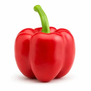 Compra ARDEI YASSER (Ion) F1 Netratat (1.000 Semințe). en la tienda online Fito Agrícola