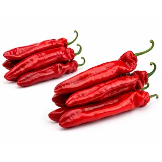 Compra ARDEI YUKO F1 (1000 semințe). en la tienda online Fito Agrícola