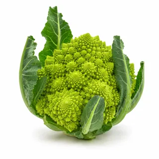 Compra ROMANESCO PINETO F1 Peliculado (10.000 Semillas) en la tienda online Fito Agrícola