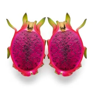 Compra PITAHAYA AMERICAN BEAUTY en la tienda online Fito Agrícola