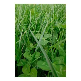 Compra PRADERA ANUAL PROTEMIX (20 Kgr.). en la tienda online Fito Agrícola