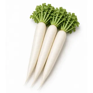 Compra RABANITO MINO SUMMER CROSS F-1 (50 gr.). en la tienda online Fito Agrícola
