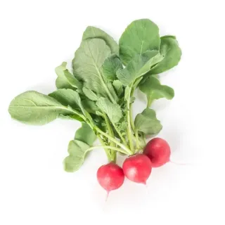 Compra RABANITO BELSAY RZ F1 Precisión (25.000 Semillas). en la tienda online Fito Agrícola